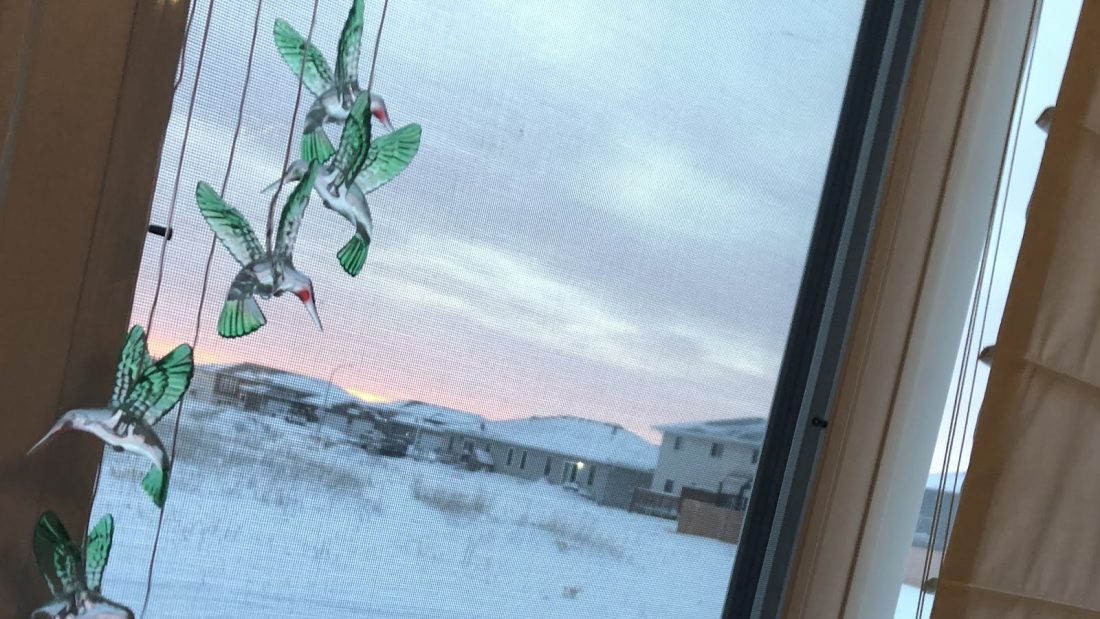 The Beautiful Sun Rise That I Took A Really GOOD Picture Of With My Phone In The Morning Of January 30th, 2022 Sunday