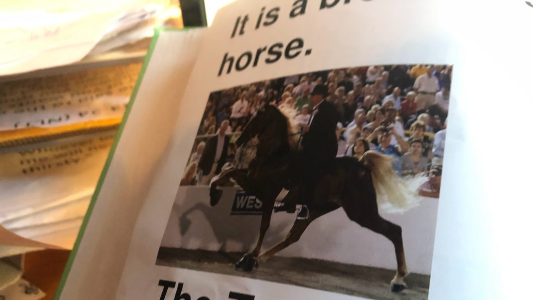Tennessee Walking Horse