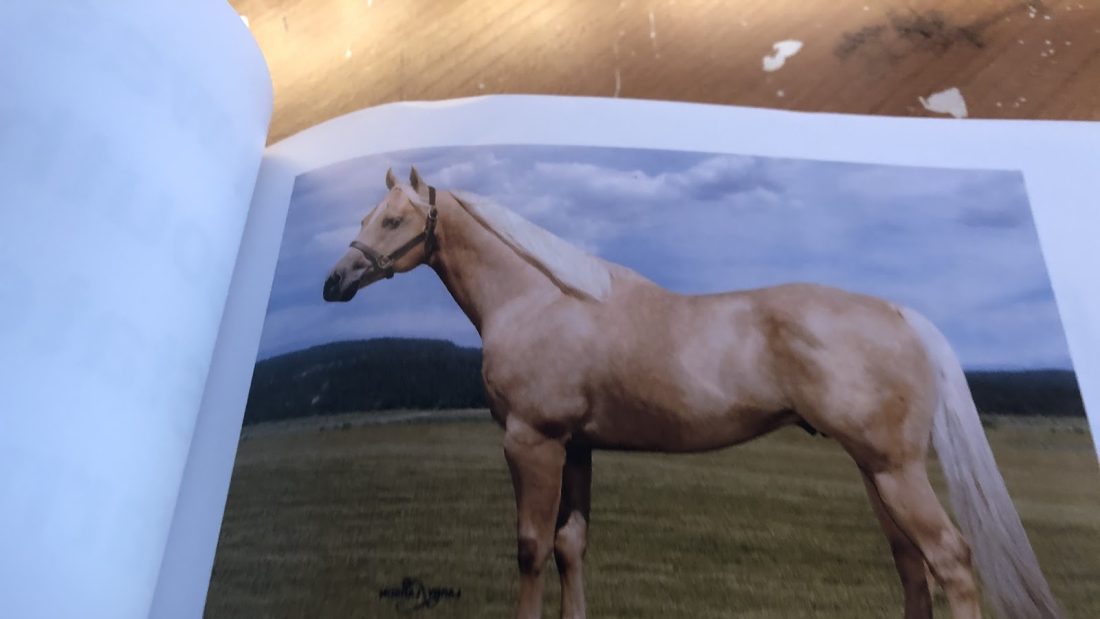 Horse Fact