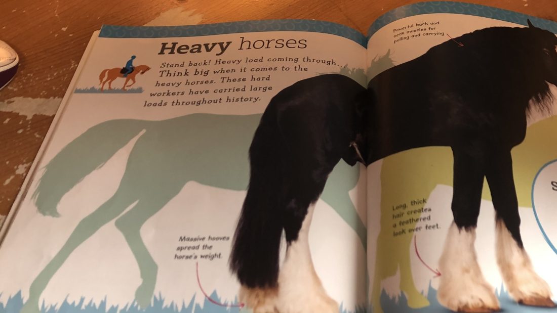 Heavy Horse’s