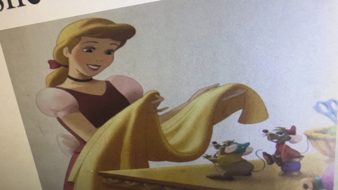 Princess Fact