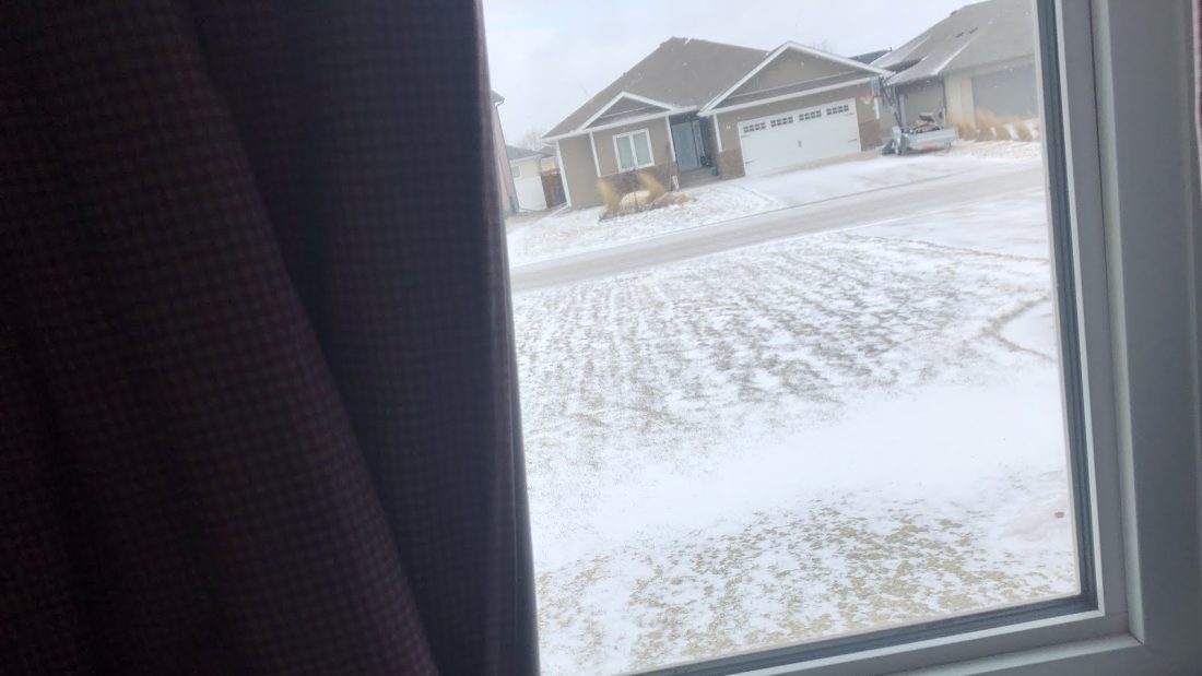 Snow yuck