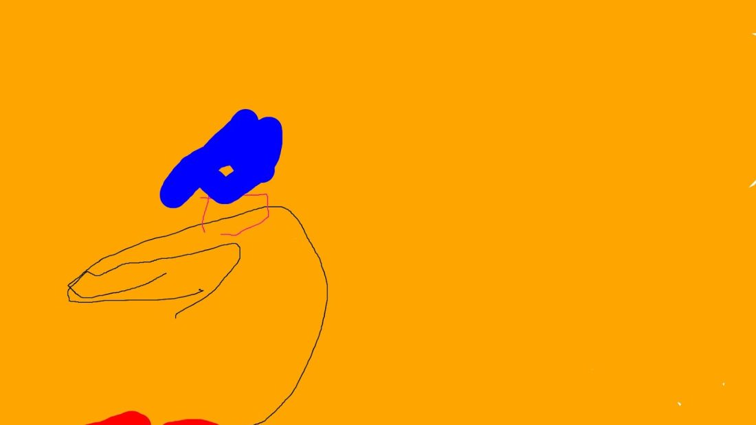 The drawing of the day today is a flower