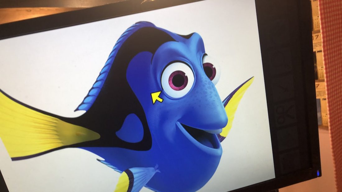 Dory