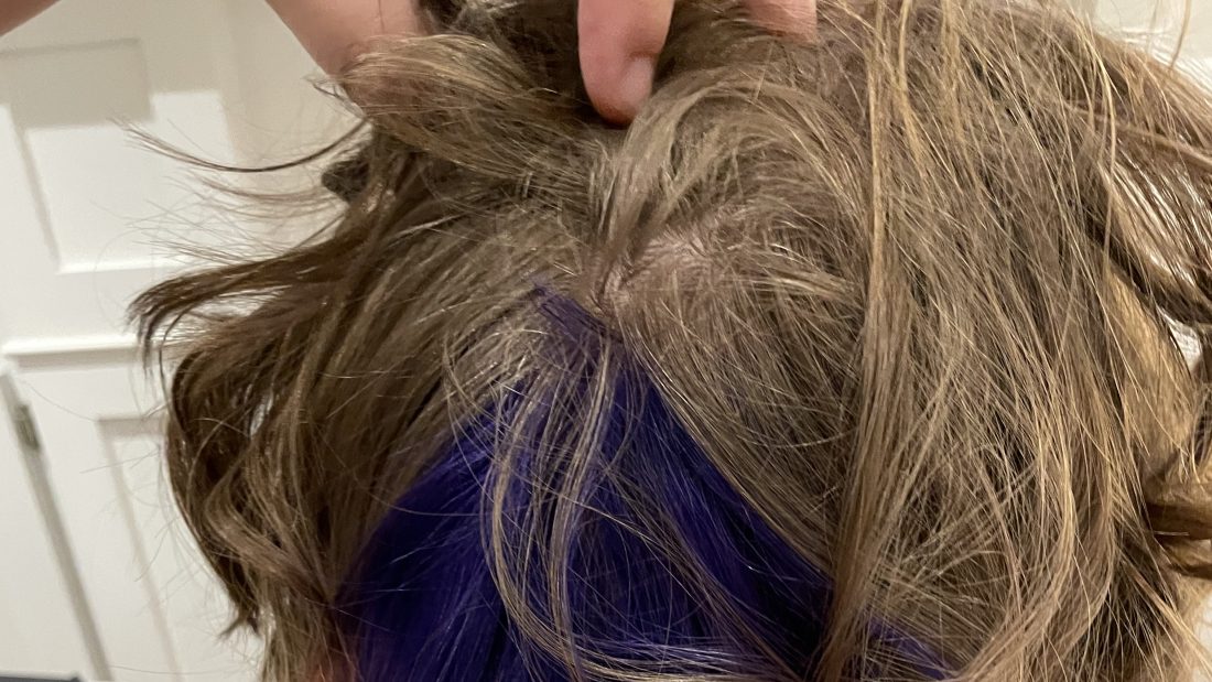Hair Colored Evening On August 15th, 2022 Monday