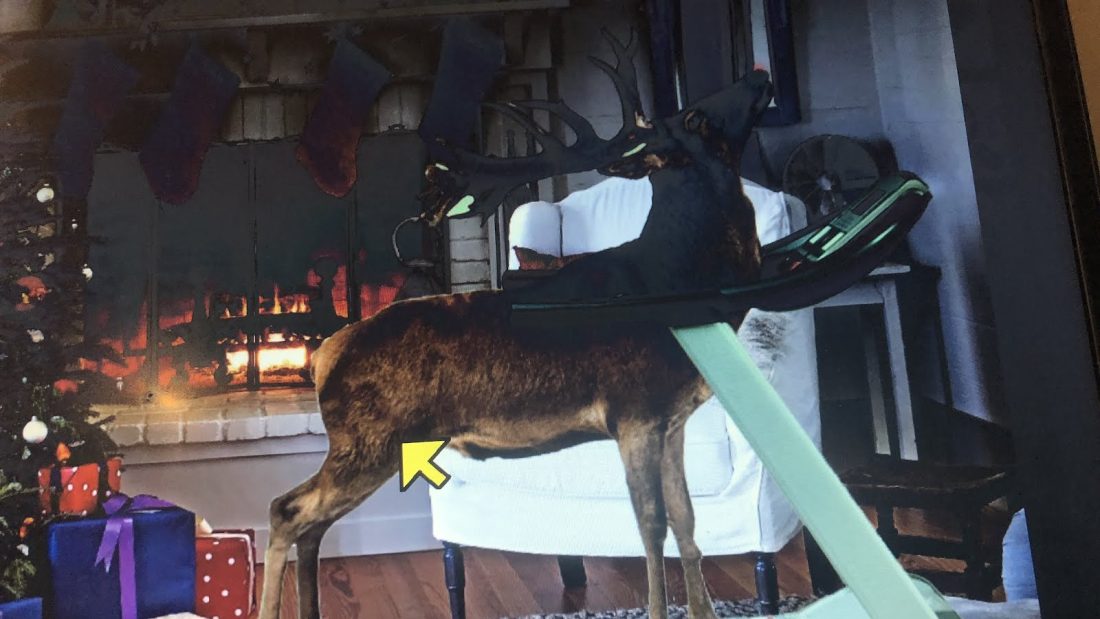 Rudolph on the treadmill