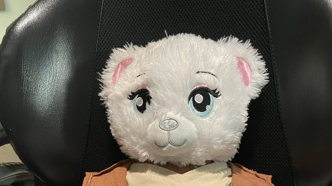 Rey The Bear