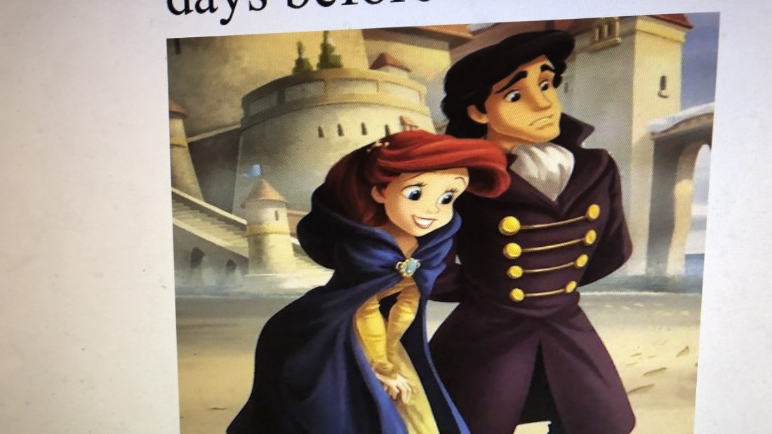Princess Christmas Book