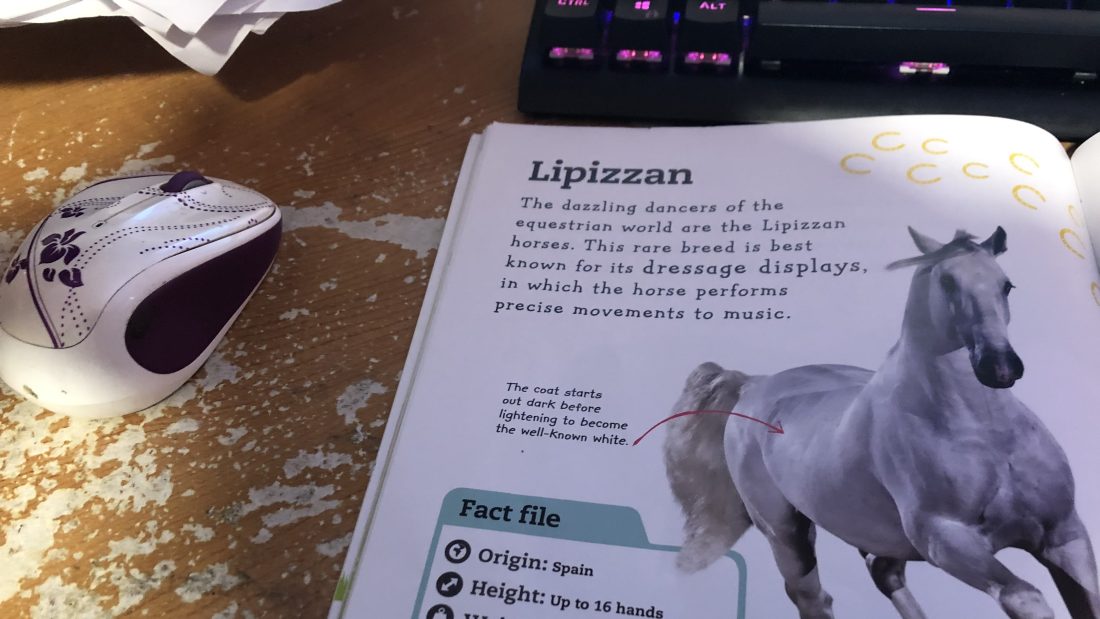 Horse Picture