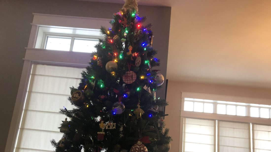 Our Christmas Tree