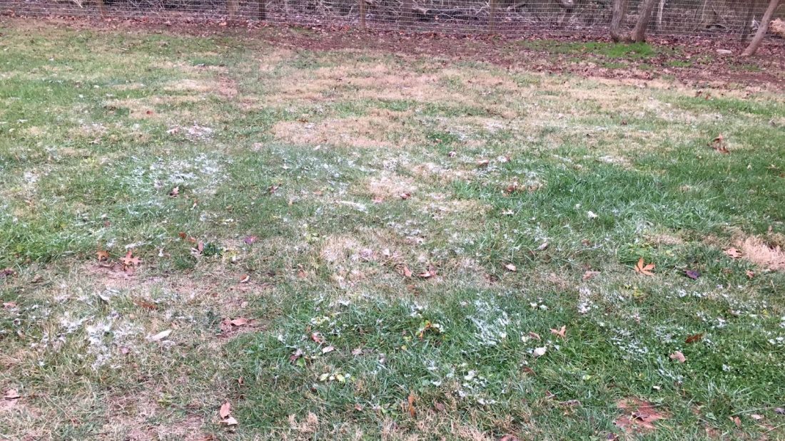 Southern Grandma snow