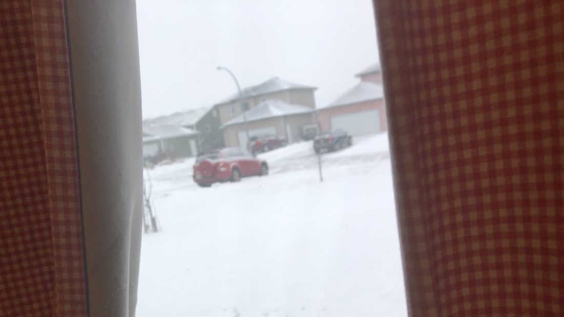 Snow for today