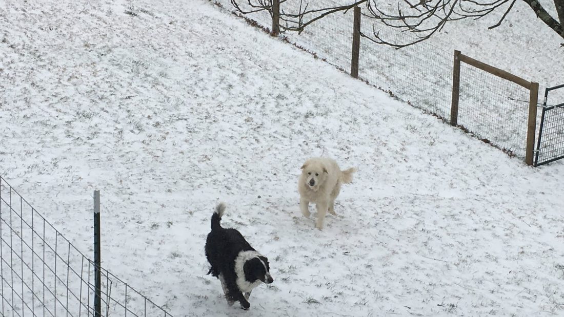 Snow at my Southern Grandma’s house