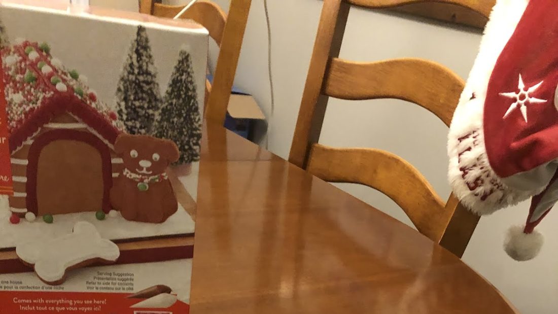Gingerbread dog house