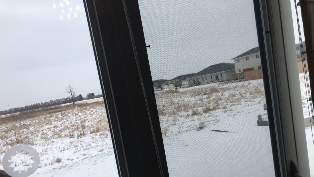 Snow