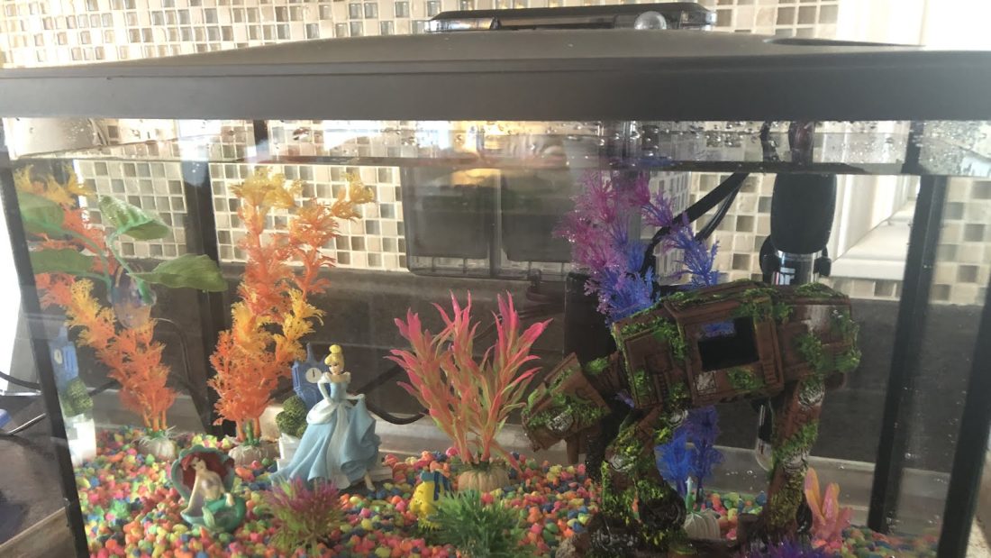 The Home For Walter