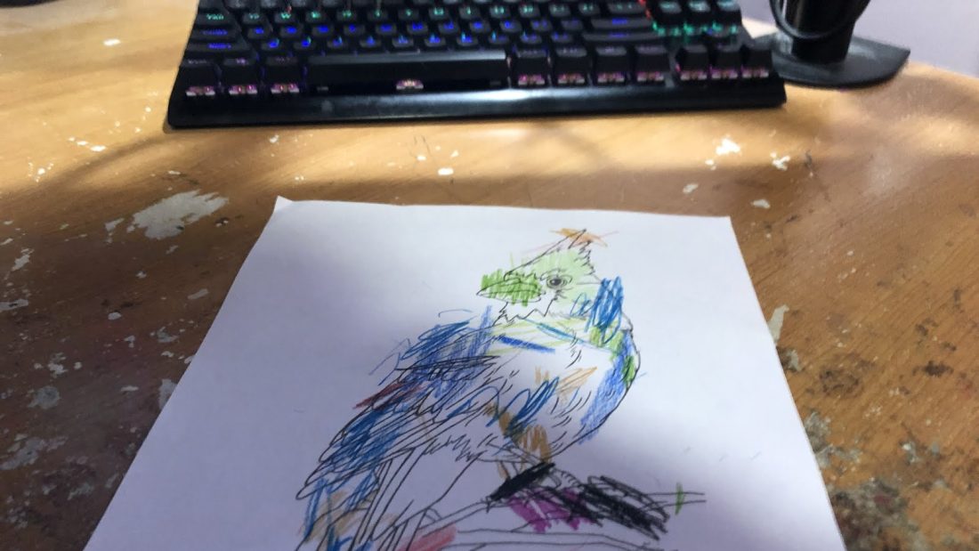 Where the picture that a coloured