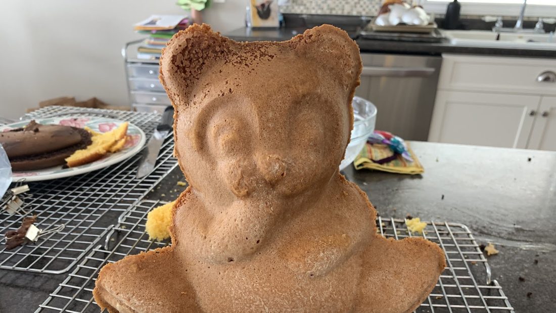 Bear/cat