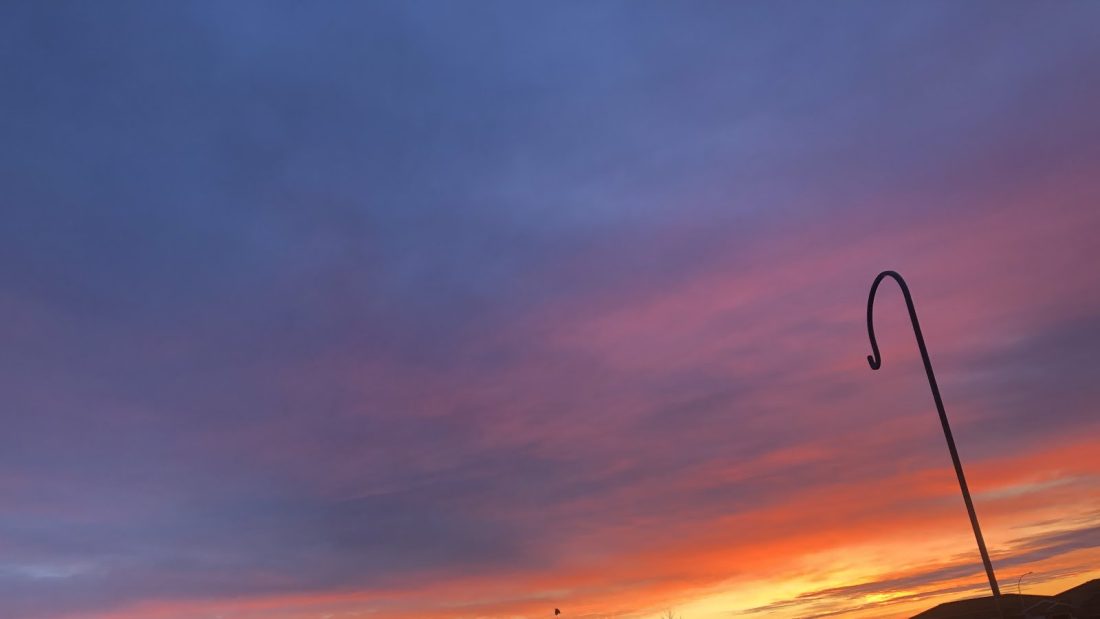 Beautiful sunrise this morning