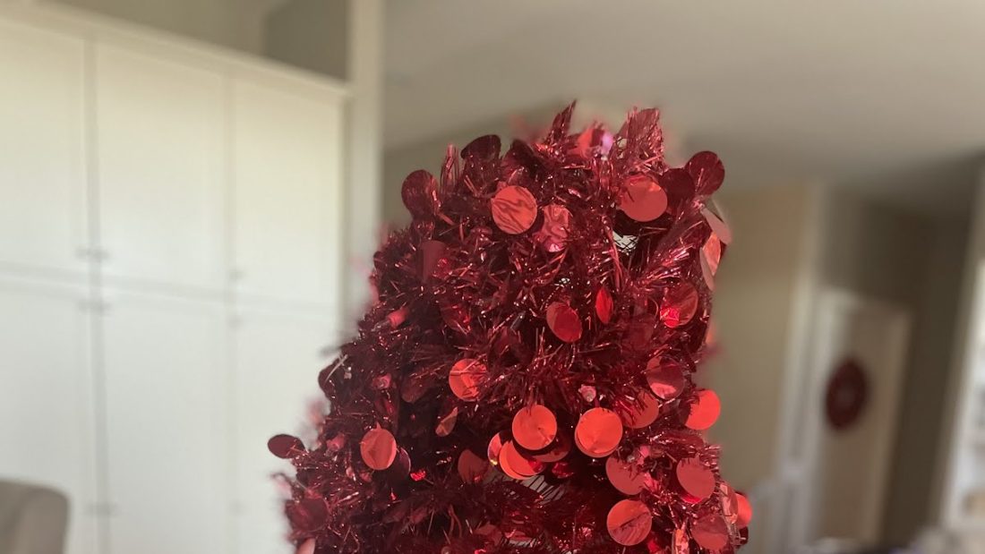 Me and my Christmas tree