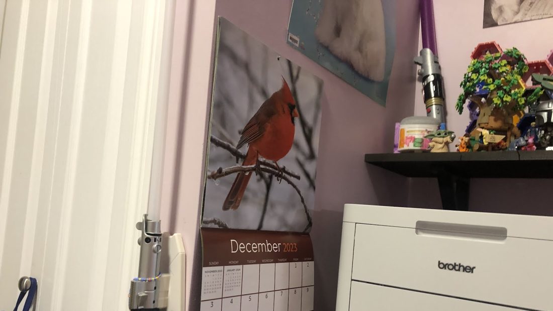 Decembers bird