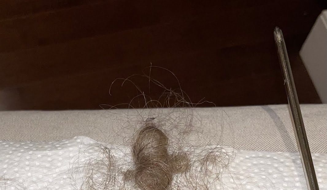 Look how much hair