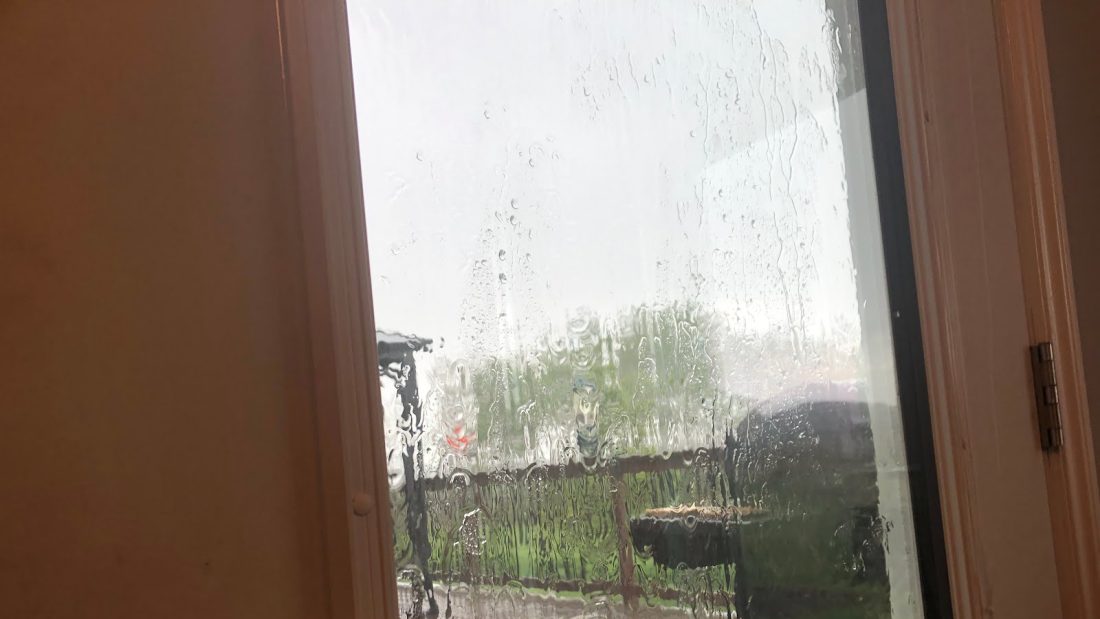 Look at what it’s doing right now