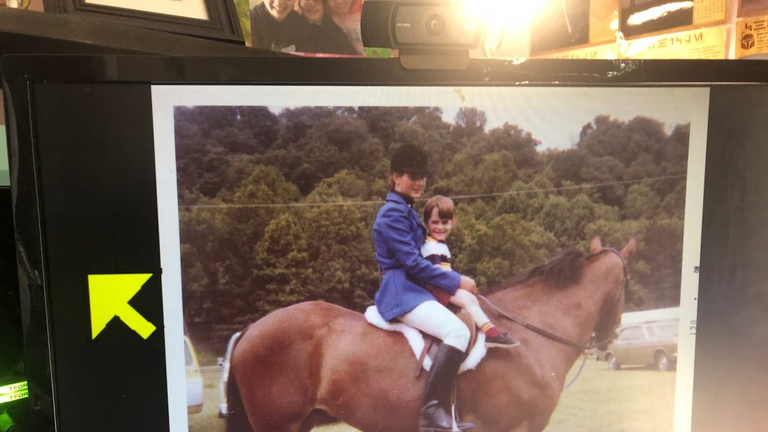 Horse picture time