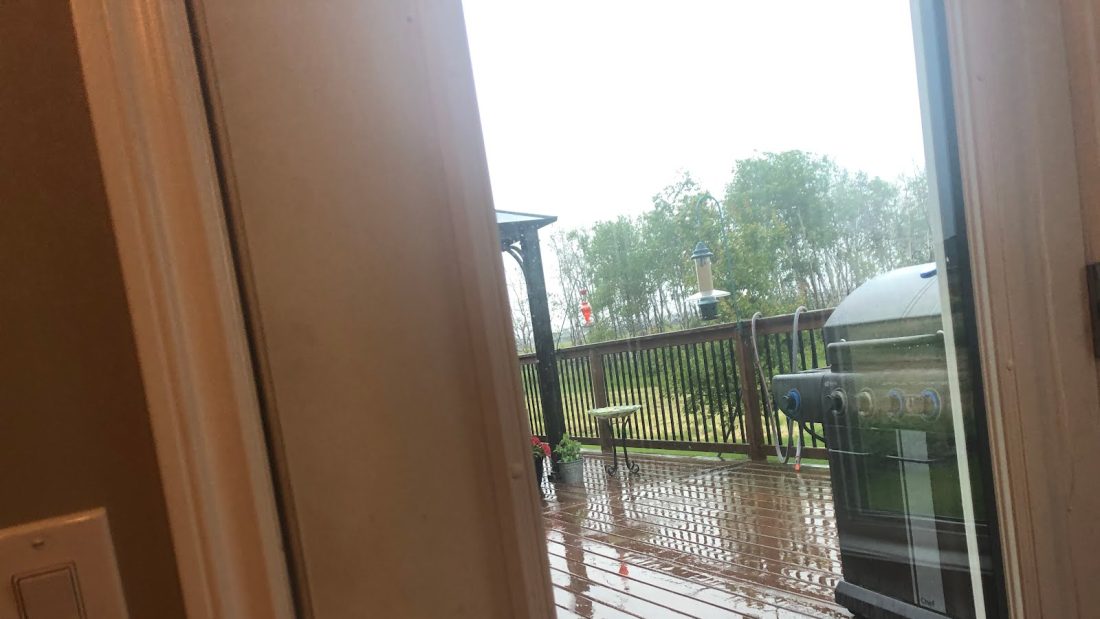 Rain