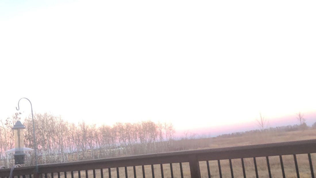 Tonight sunset