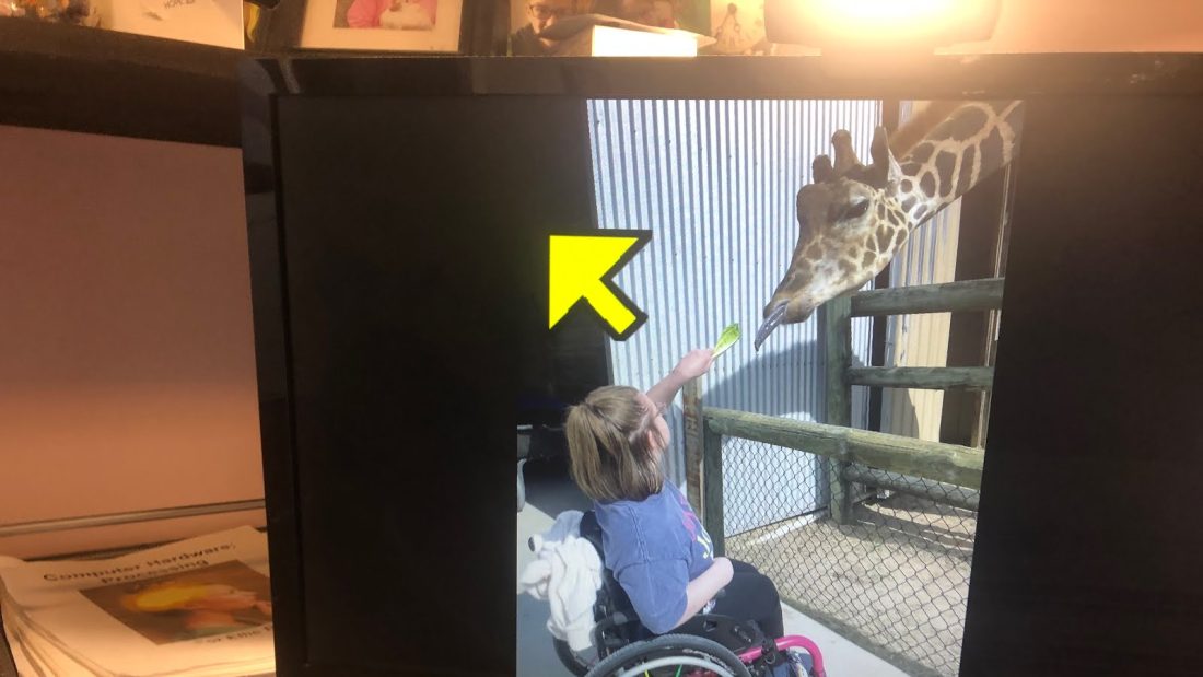 Giraffe