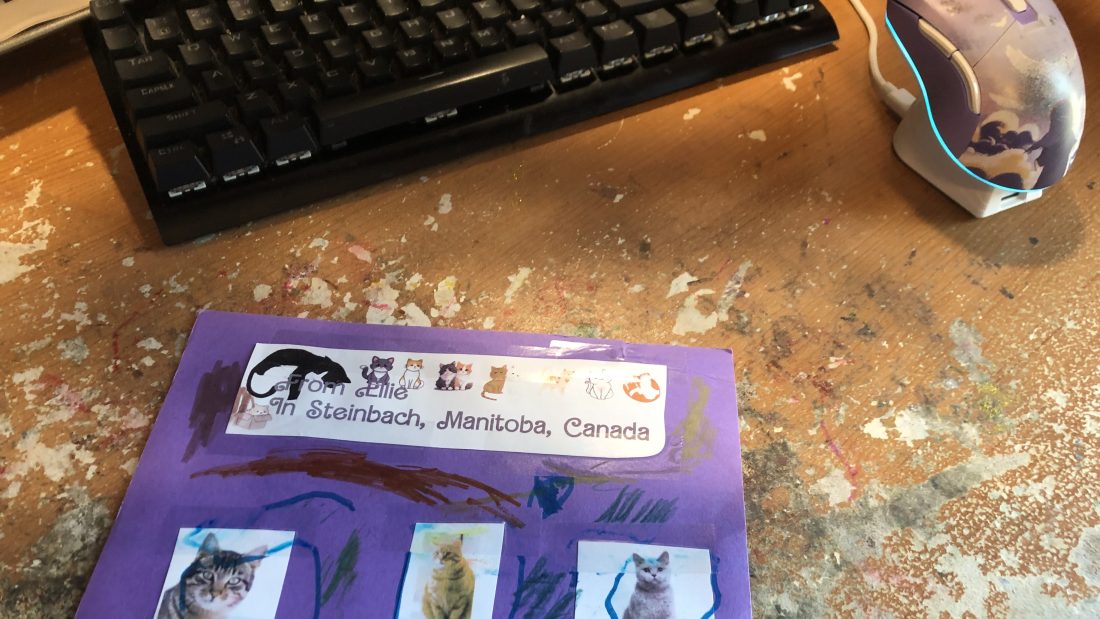 Bookmark Time Again: Cat bookmark time!