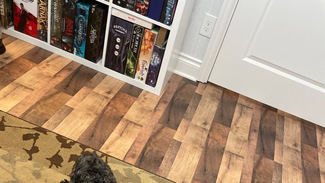 Oreo hanging out in my dad’s office