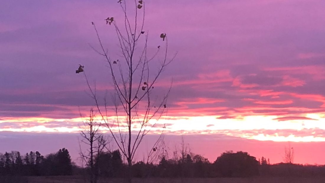 Today’s sunrise