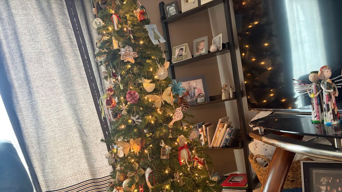 What a Grandma and I did today