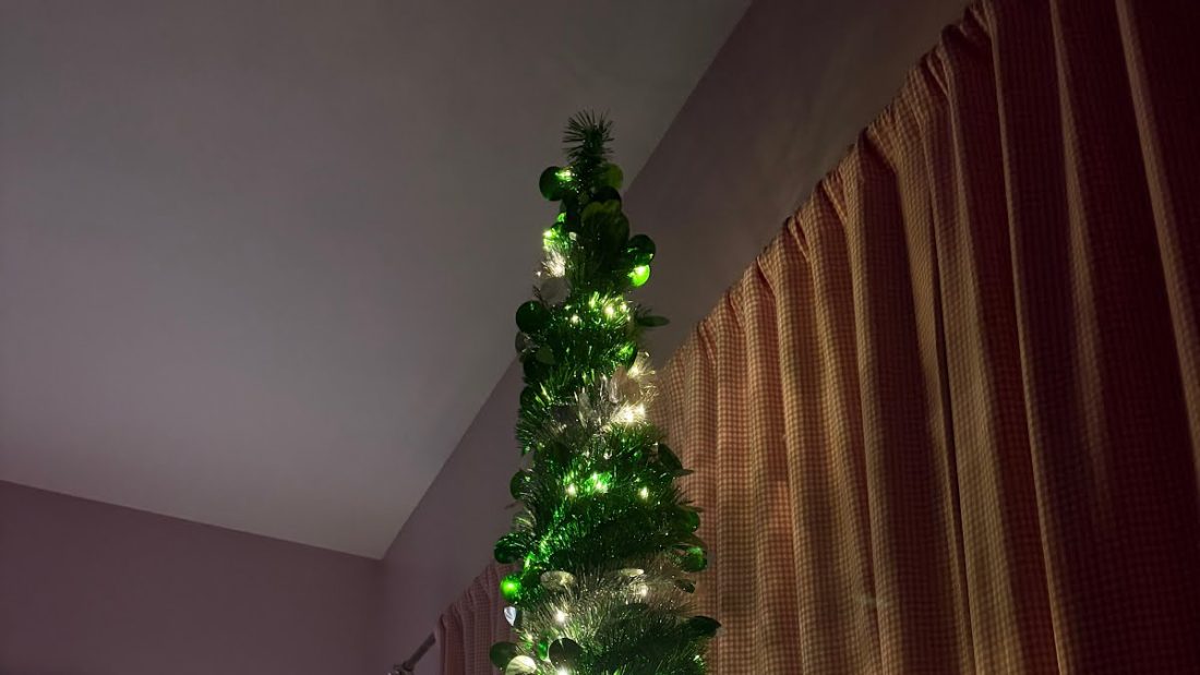 My green Christmas tree